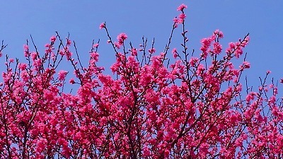 e0352820_11131424.jpg