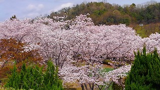 e0352820_11133108.jpg