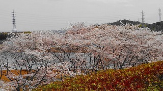 e0352820_11133909.jpg