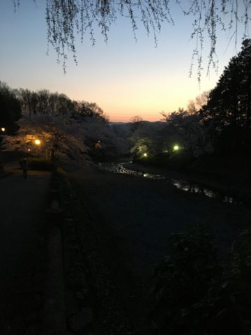 c0114121_0153852.jpg