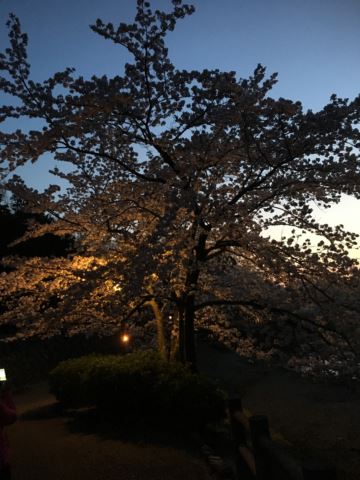 c0114121_0154639.jpg