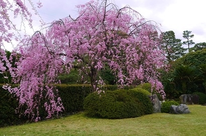 c0204121_13533924.jpg