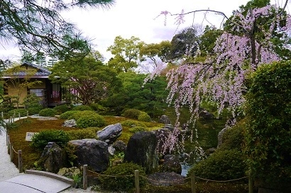 c0204121_13535621.jpg