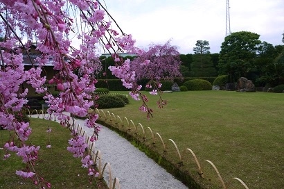 c0204121_13574563.jpg