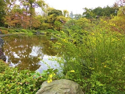 c0204121_13581437.jpg