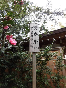 c0204121_13591539.jpg