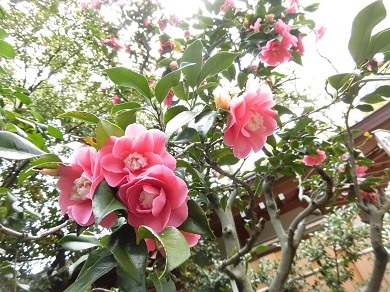 c0204121_14003430.jpg