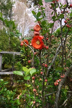 c0204121_14010613.jpg