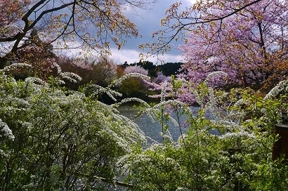 c0204121_14290749.jpg