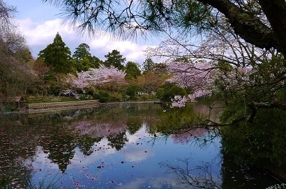 c0204121_14292924.jpg