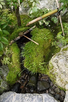c0204121_14453649.jpg
