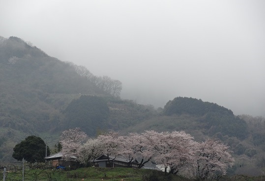 f0000521_07011511.jpg