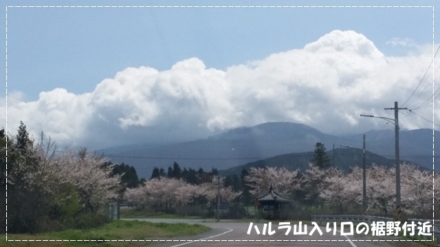 a0115924_15032869.jpg