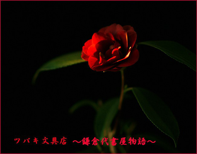 e0081525_11143772.jpg