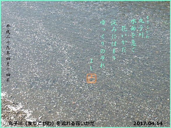 e0033229_18395443.jpg