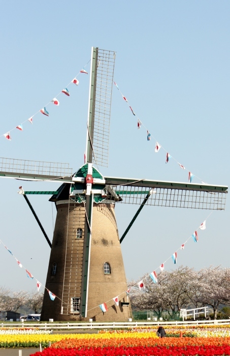 a0230831_11270991.jpg