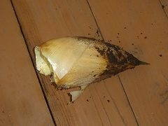 c0147935_09351245.jpg