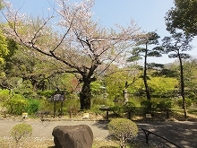 c0147935_21390926.jpg