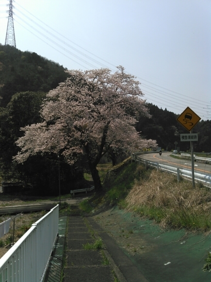 d0288435_21095241.jpg