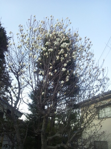 e0349036_07255744.jpg