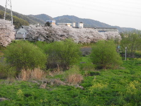 f0113136_20502111.jpg
