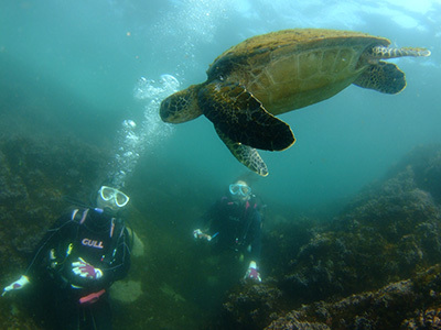 b0189640_17521249.jpg