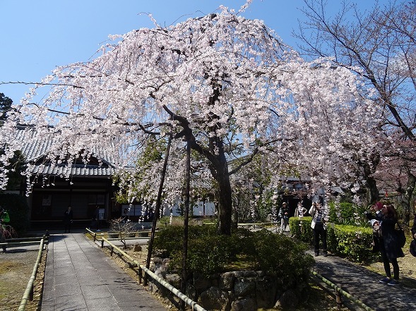 b0299042_20333048.jpg