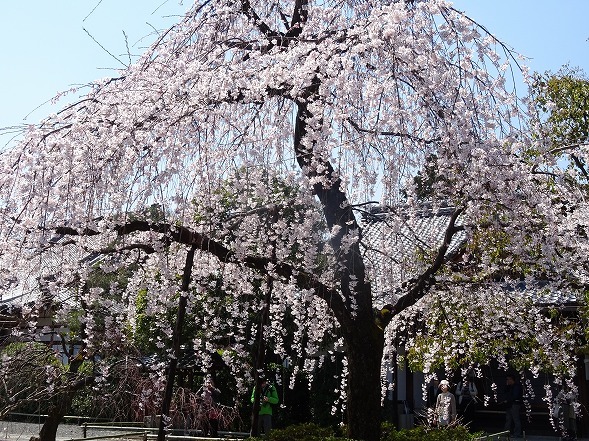 b0299042_20351119.jpg