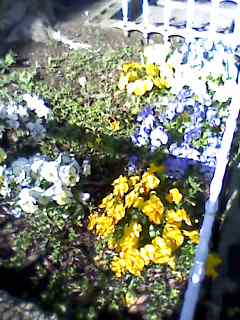 e0150843_23534930.jpg