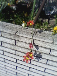 e0150843_23534991.jpg