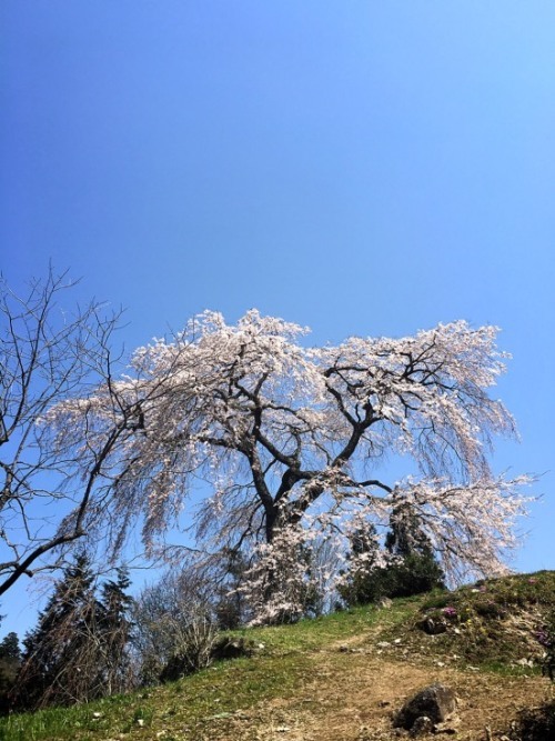 f0191444_15440951.jpg