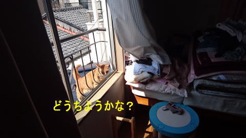 d0013645_11113525.jpg