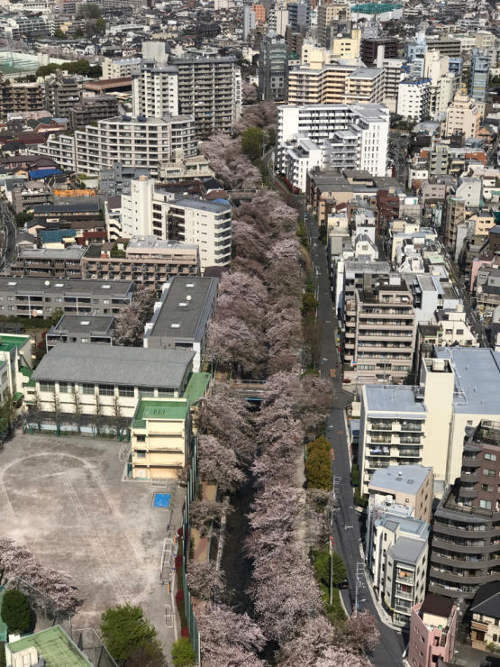 b0021251_11445037.jpg