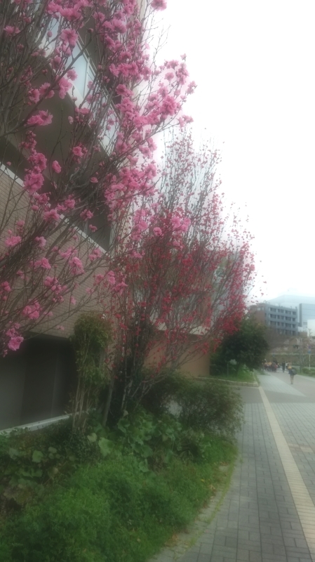 a0349852_09520801.jpg