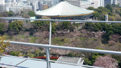 f0129761_13473770.jpg