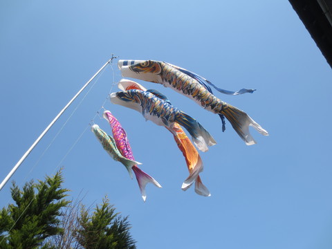 c0223463_1041036.jpg