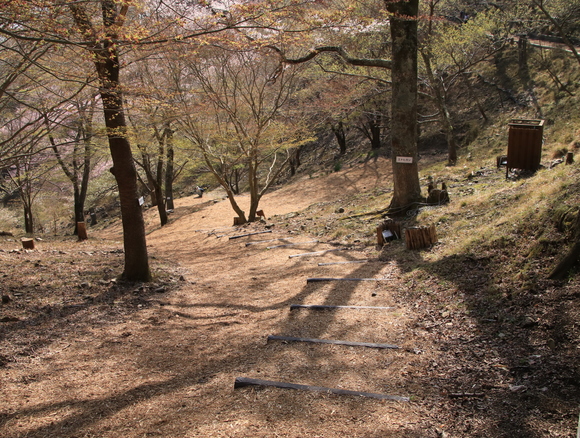 d0202264_21302930.jpg