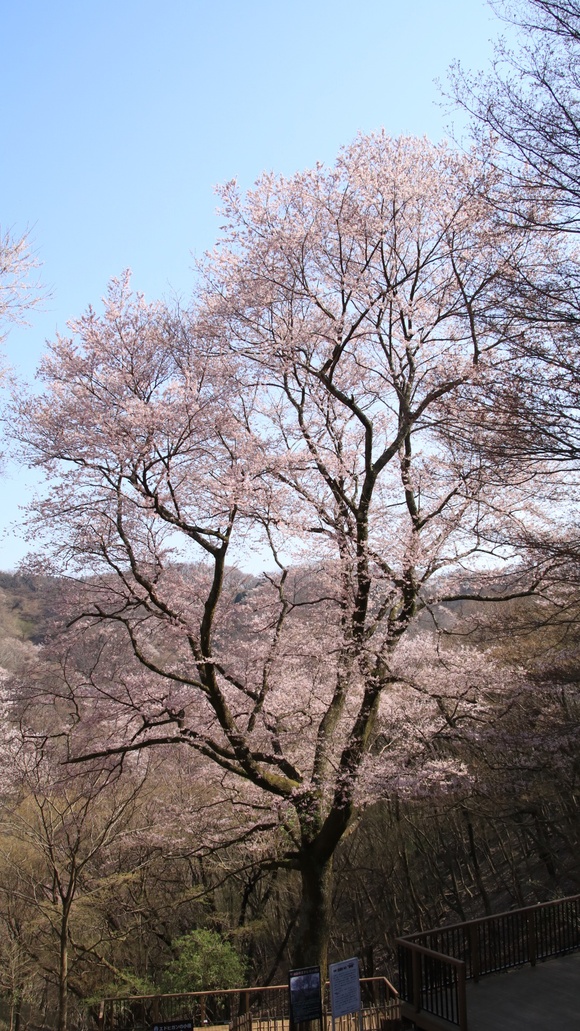 d0202264_21313138.jpg