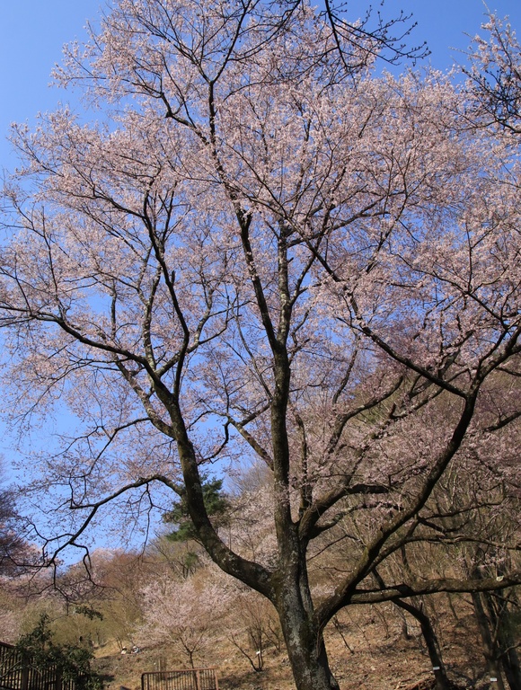 d0202264_21321183.jpg