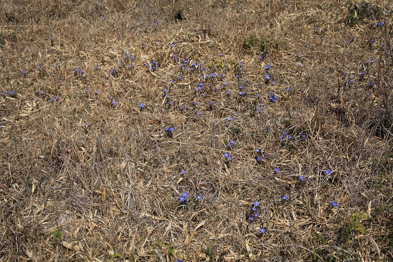 e0304170_20333220.jpg