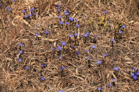 e0304170_20334551.jpg