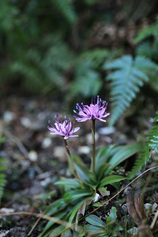 e0304170_20342624.jpg