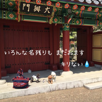 f0322570_19264241.jpg