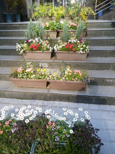 f0200871_0592145.jpg