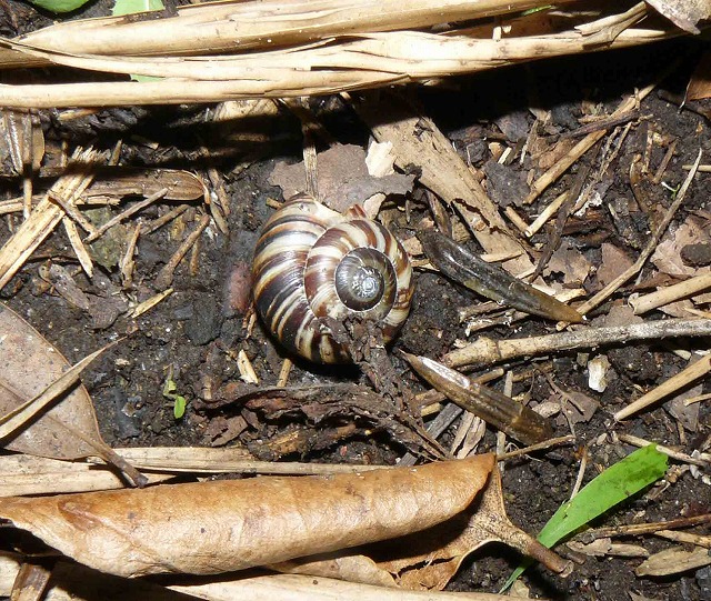 d0019074_9175440.jpg