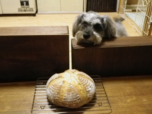 f0145575_20100400.jpg
