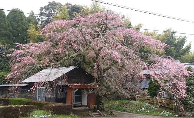 d0126577_17113505.jpg