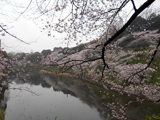 f0222378_917696.jpg