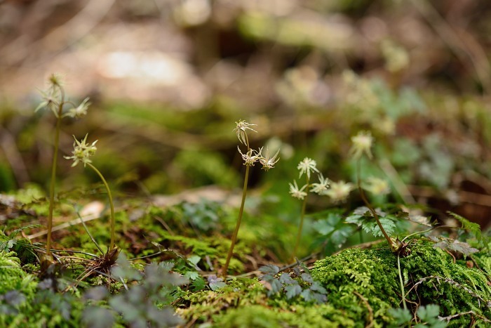 d0341880_07094532.jpg