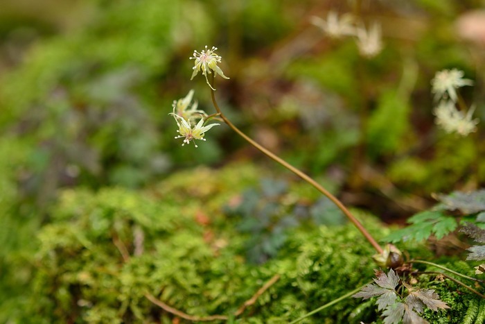 d0341880_07095507.jpg
